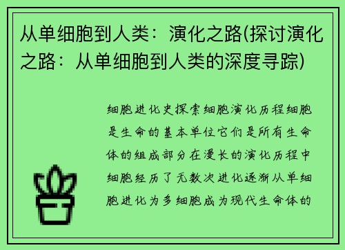 从单细胞到人类：演化之路(探讨演化之路：从单细胞到人类的深度寻踪)